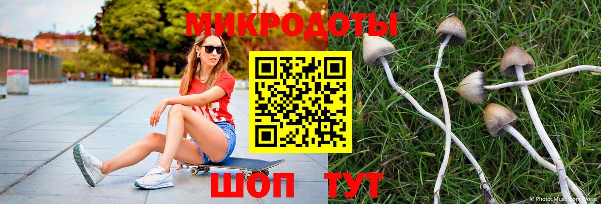 Балабаново  Псилоцибиновые грибы мицелий  наркота  Вход с VPN  Псилоцибиновые грибы Magic Shrooms 