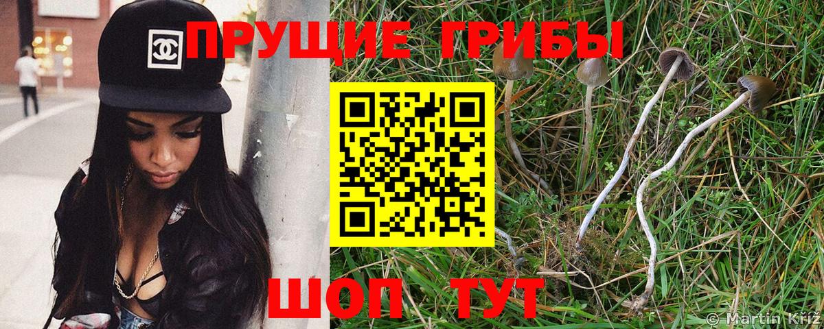 Галлюциногенные грибы мухоморы Балабаново